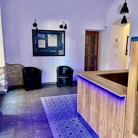 New City Centre Garden Apartment - Central Location Prag Exteriör bild